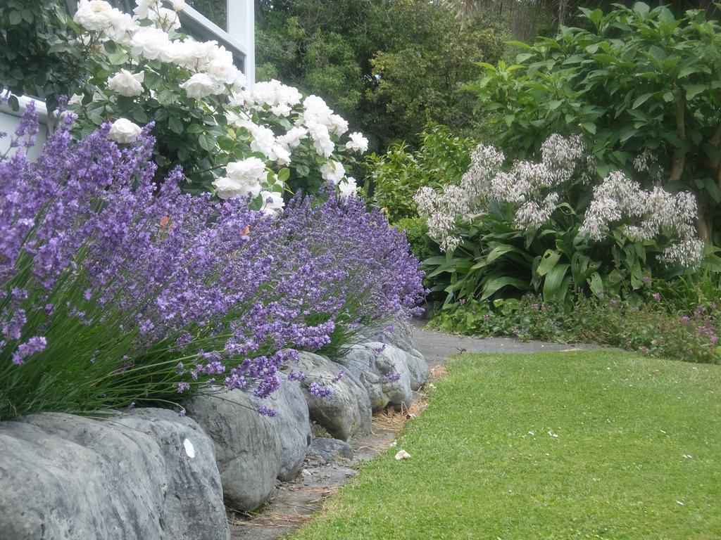 The Point B&B Kaikoura Luaran gambar